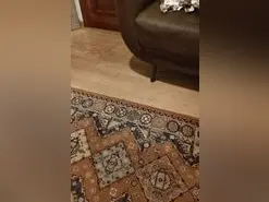 Amateur Free Porn Cam of cachondo22fuker