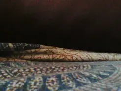 Amateur Best Webcam of ojosgatomadrid1