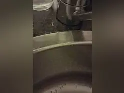 Amateur Free Porn Cam of YourPervVice