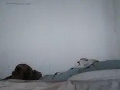 Amateur Free Porn Cam of Tuvecino6