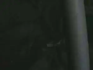 Cam4 Best live sex cam show of 0barbanera