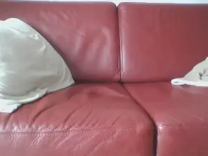 Cam4 Best Webcam of lossee3