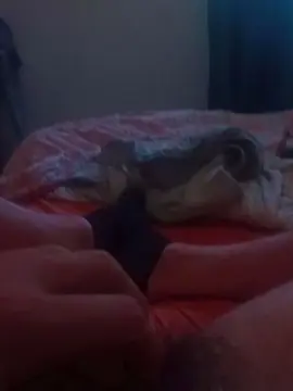 Cam4 Free Porn Cam of Pauzudoconteudo
