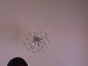 Cam4 Sex Cam of 1hotassBiguy