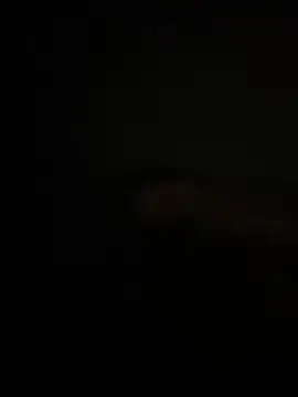 Cam4 Sex Cam of Pedroherique199