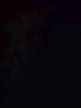 Cam4 Live Porn of Spiderdickmanpt