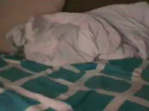 Cam4 Best Webcam of Workaholic0877