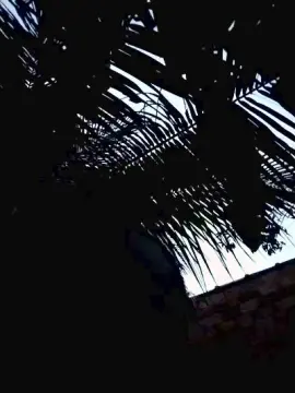 Cam4 Best live sex cam show of Alisonjuenendun