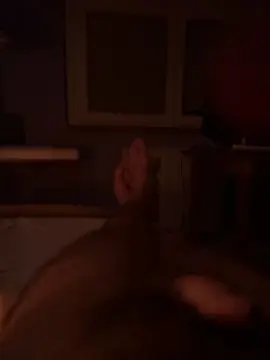 Cam4 Adult Webcam of TigerManEero