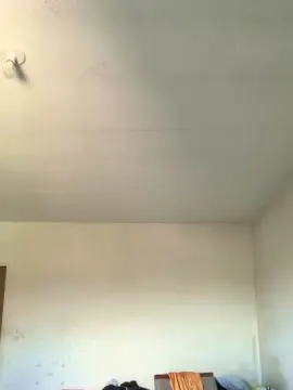 Cam4 Sex Chat of Tj20cmm