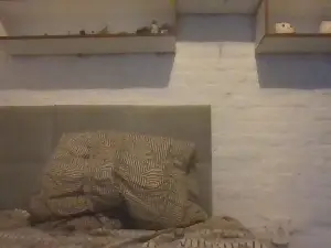 Cam4 Live Sex of brunodsungao