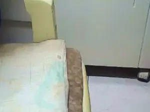 Cam4 Live Porn of pacharrumba