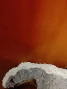 Cam4 Best live sex cam show of Rysissyboi