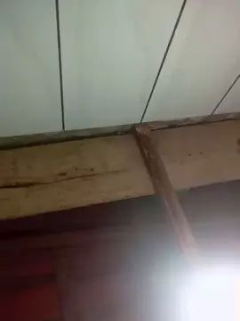 Cam4 Free Porn Cam of Alemaaaoo