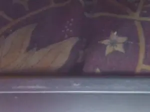 Cam4 Nude Webcam of Incognito1999