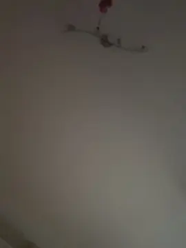 Cam4 Sex Cam of Chemnitzfick