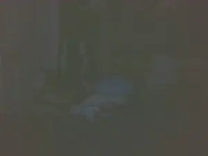 Cam4 Adult Webcams of boost2469