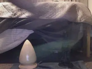 Cam4 Sex Chat of logan20051