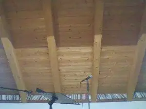 Cam4 Live Porn of shaggyvery
