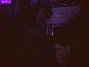 Cam4 Sex Cam of blindsurfer