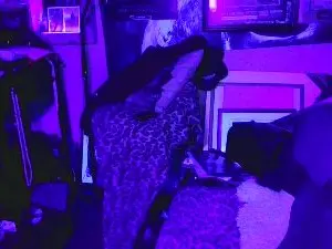 Cam4 Adult Webcam of blindsurfer