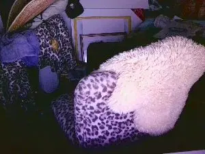 Cam4 Sex Chat of blindsurfer
