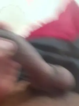 Cam4 Free Porn Cam of brferreira71