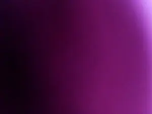 Cam4 Adult Video Chat of julienxlove