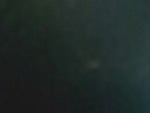 Cam4 Free Live Porn of LauPet_Nacho