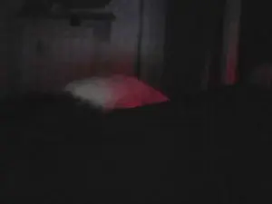 Cam4 Best Webcam of zena_xxx