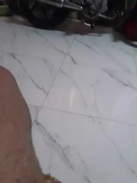 Cam4 Best live sex cam show of Trosogroso