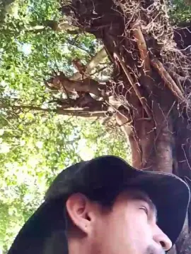 Cam4 Free Porn Cam of paulosexy