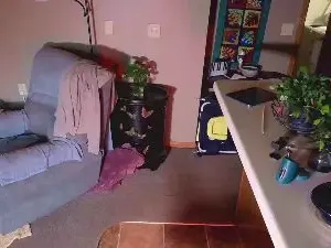 Cam4 Free Live Porn of MikeSpyke
