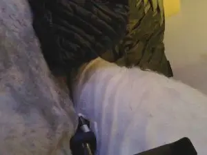 Cam4 Private Sex Chat of Miller1996