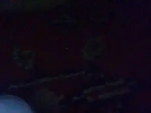 Cam4 Best Webcam of Elbbbb23
