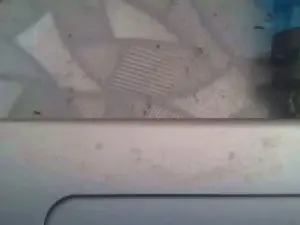 Cam4 Live Porn of bomalbelbit