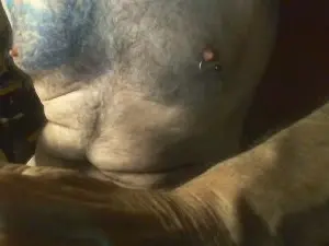 Cam4 Best live sex cam show of berrichon57