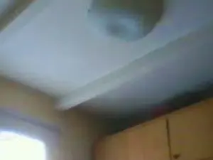 Cam4 Sex Chat of BearContraste
