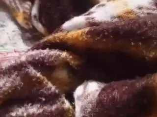 Camsoda Best Webcam of rockojsj