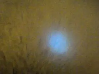 Camsoda Live Sex of threedollars