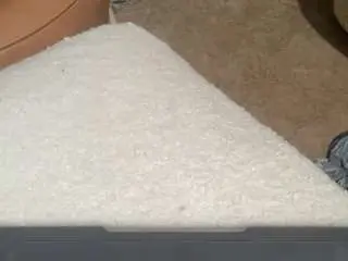 Camsoda Best live sex cam show of catchmeridindirty