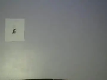 Chaturbate Adult Webcams of bigxcountry_39