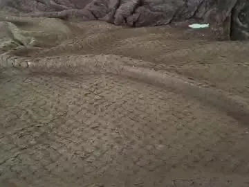 Chaturbate Adult Webcam of deephat