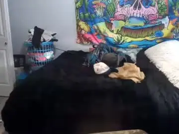 Chaturbate Watch Live Sex Cams of tehkie