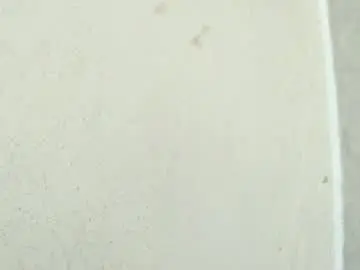 Chaturbate Best Webcam of birbikrom104
