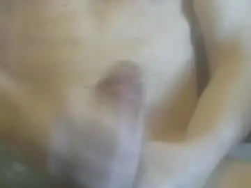 Chaturbate Free Porn Cam of cutemuscledanaconda