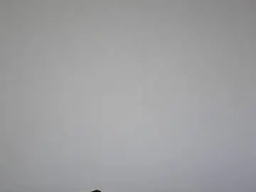 Chaturbate Best live sex cam show of mann67