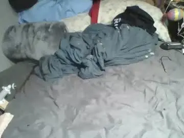 Chaturbate Free Live Porn of lildman420
