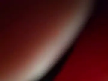 Chaturbate Live Sex of gd_mysterydick