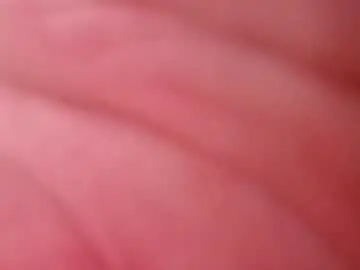 Chaturbate Adult Webcam of fucktimez